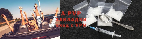 ГАЛЛЮЦИНОГЕННЫЕ ГРИБЫ Коряжма