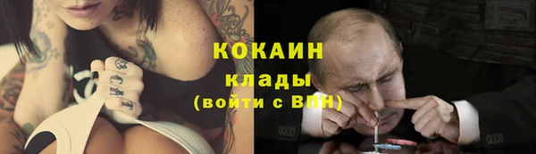 ГАЛЛЮЦИНОГЕННЫЕ ГРИБЫ Коряжма
