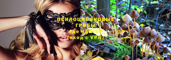 прущие крисы Корсаков