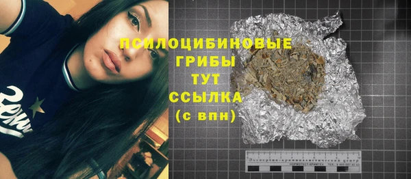 прущие крисы Корсаков