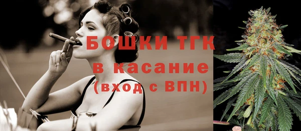 прущие крисы Корсаков