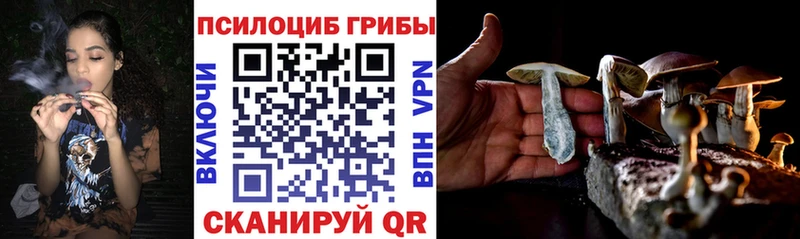 Псилоцибиновые грибы прущие грибы  Медынь 
